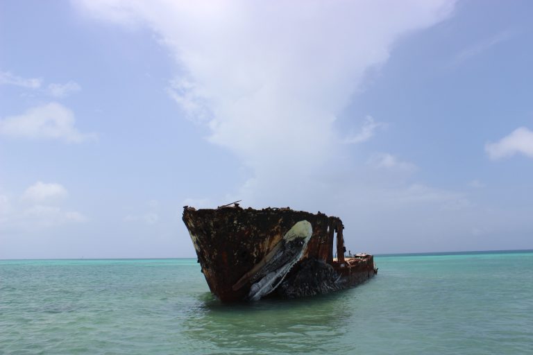 Pelican by BORDALLO II in Aruba