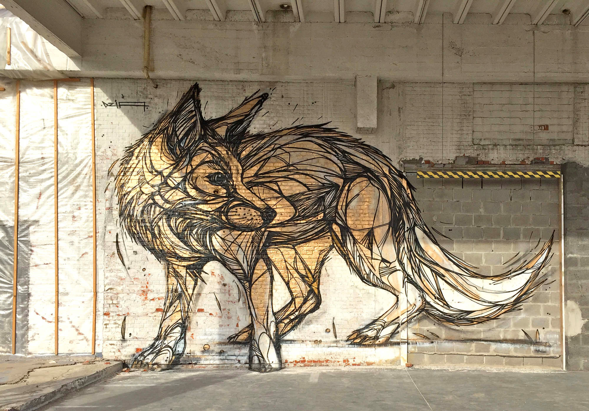 Graffiti of Animals and Insects on the Streets of Antwerp by ‘Dzia’ (8)
